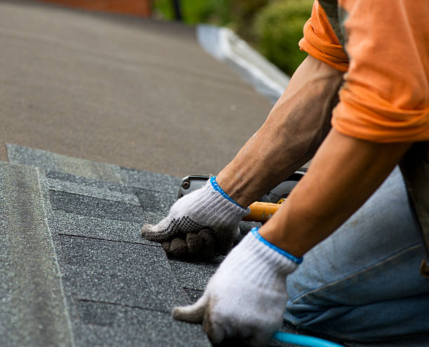 Best Roof Gutter Cleaning  in Fivepointville, PA